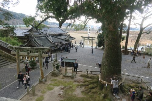 Kotonomama Hachimangu in Shizuoka