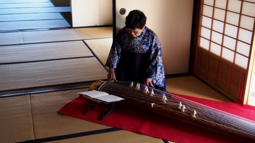 A Japanese woman playing the koto.