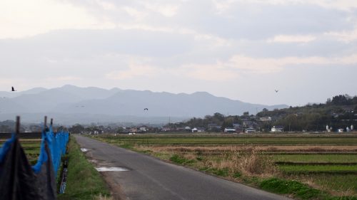 The spectacular rural landscape of southwest Kyushu.