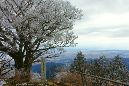 View from Mt. Oyama, close to Tokyo