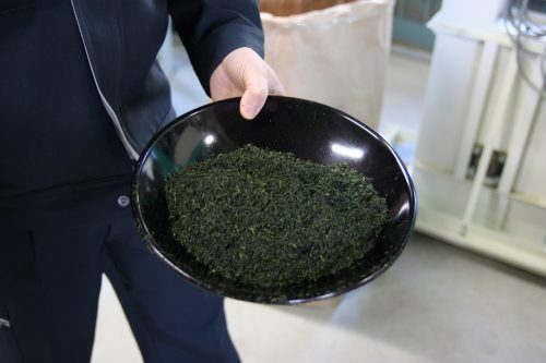 Green tea tourism in Higashisonogi, Nagasaki