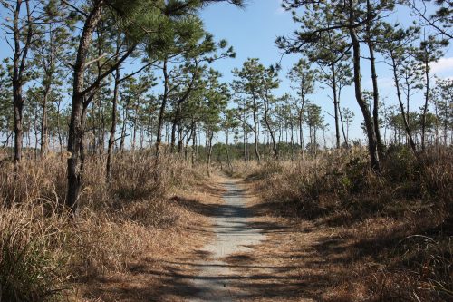  discover both the seaside and countryside in Minamisatsuma by bike, in Kyushu.