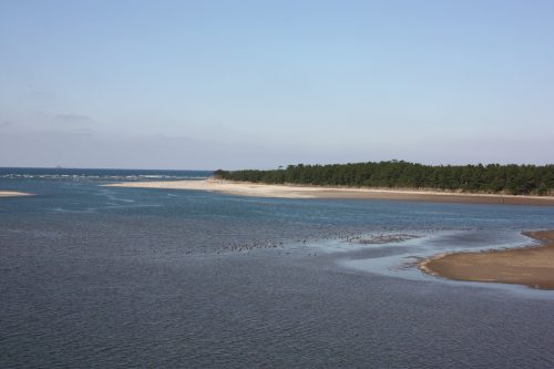  discover both the seaside and countryside in Minamisatsuma by bike, in Kyushu.