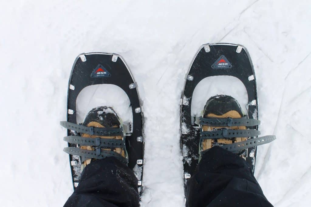 Experience Snowshoeing and Backcountry Skiing at Asahidake