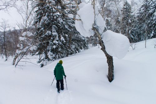 Asahidake Onsen Yukomansou Ryokan Daisetsuzan Mountain Higashikawa Hokkaido