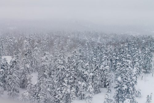 Asahidake Onsen Yukomansou Ryokan Daisetsuzan Mountain Higashikawa Hokkaido