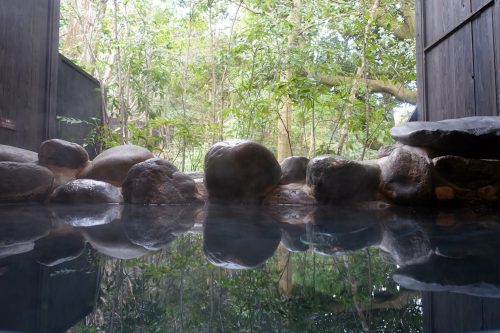 Hakone Guide: Onsen, Art and Nature, just 80 minutes from Tokyo!