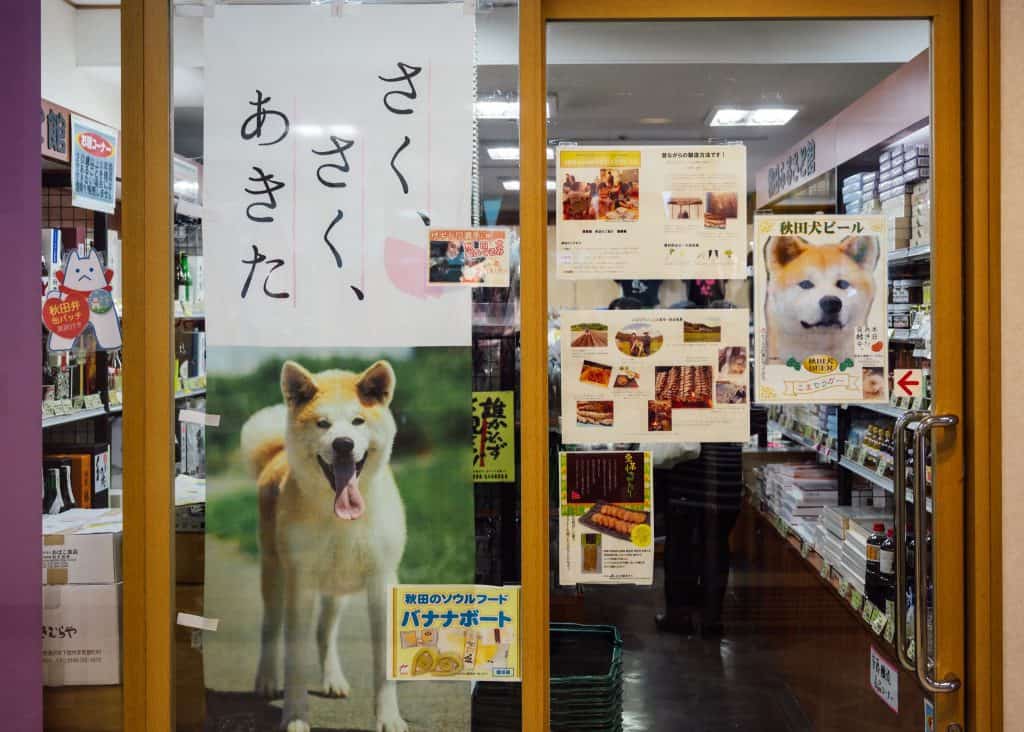 Everything You Need To Know About Tokyo's Antenna Shops