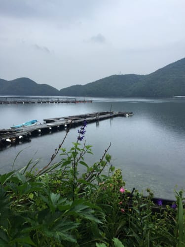 View from Shimizu Marine Inn