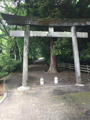 Torii, former Shinto temple ruins