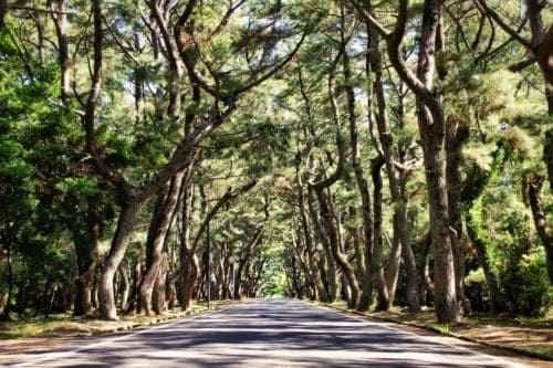 Discovering Ojika - An Island Paradise by Bicycle