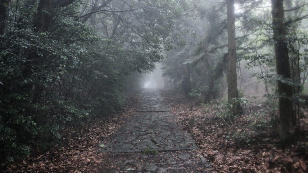 Hiking trail on Mount Omoto in Oita, Kyushu, Japan
