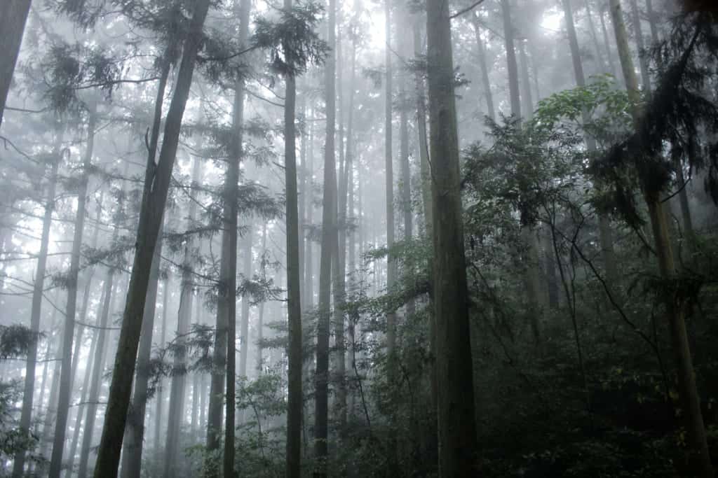 Climbing Mount Omoto in Oita, Kyushu