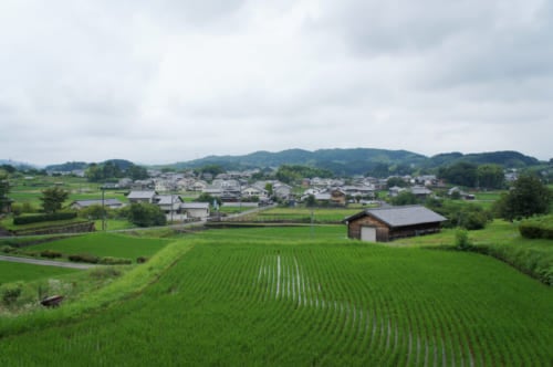 A view of Asuka village, Nara: rice fields and traditional houses. 