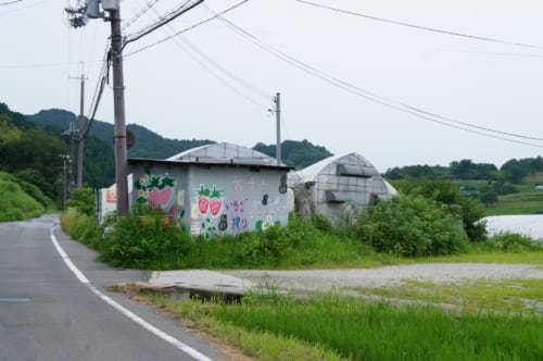 Greenhouses where strawberries are grown on the side of a road in Asuka