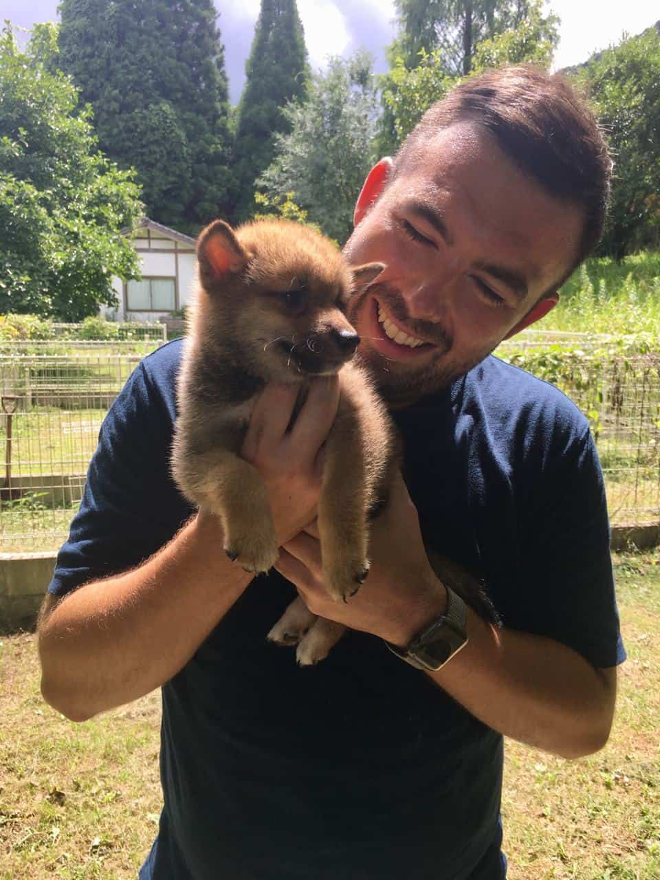 Shiba Inu puppy in Kumamoto