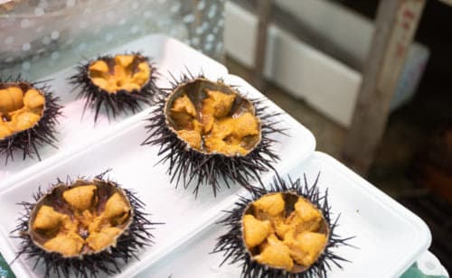 Sea urchins from the Sanriku Coast.