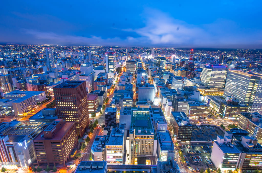 Sapporo City at night.