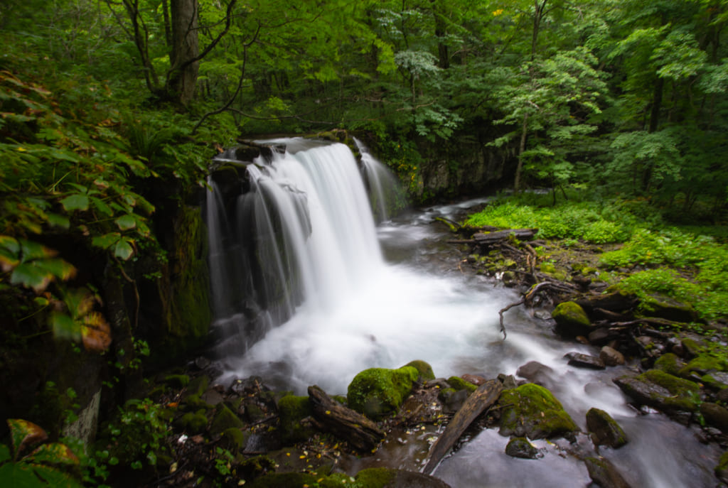 The Oirase Gorge in Aomori Prefecture.