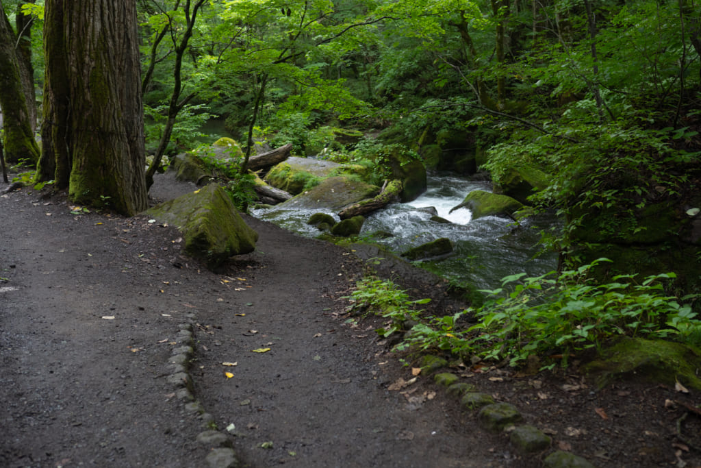 Oirase Gorge.