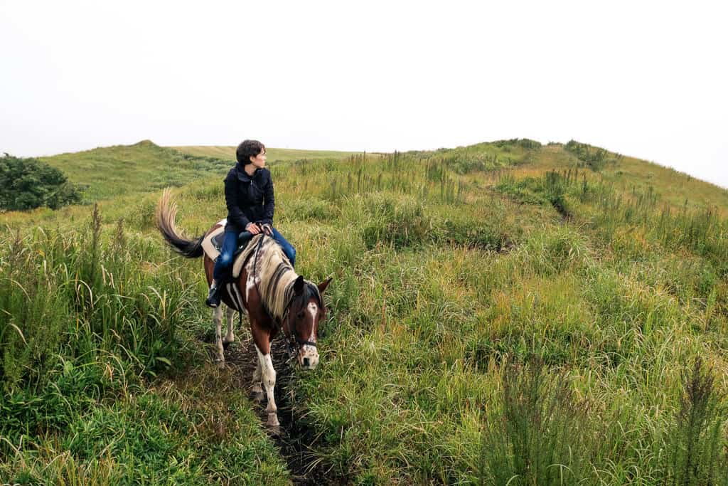 Horseback riding in Japan