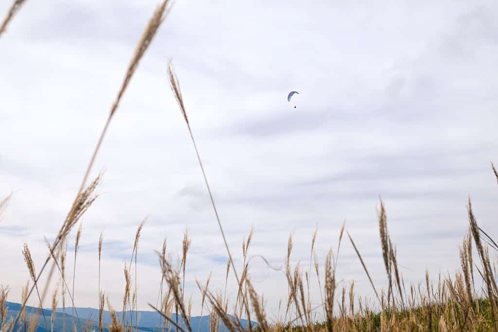 Paragliding, an outdoor activity to try in Aso, Kumamoto, Japan