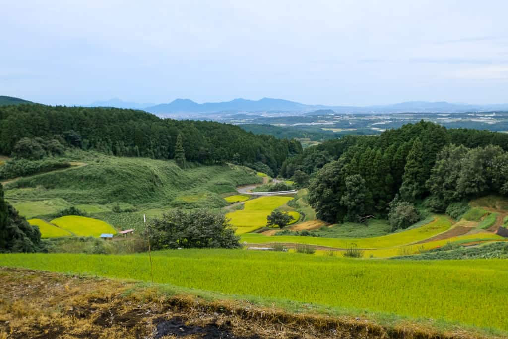 Terraced rice-fields by Shiraitonotaki Falls in Nishihara, Kumamoto