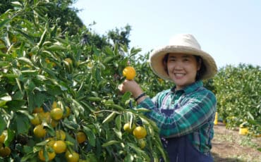 Mrs Mizumoto, posing with a tree loaded with fruit