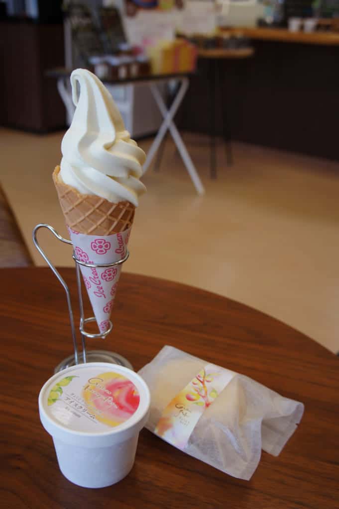 Soft served ice cream, ice cream pot and ice monaka