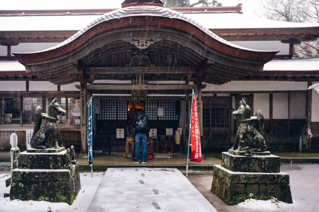 personn stading by shrine with fox statues