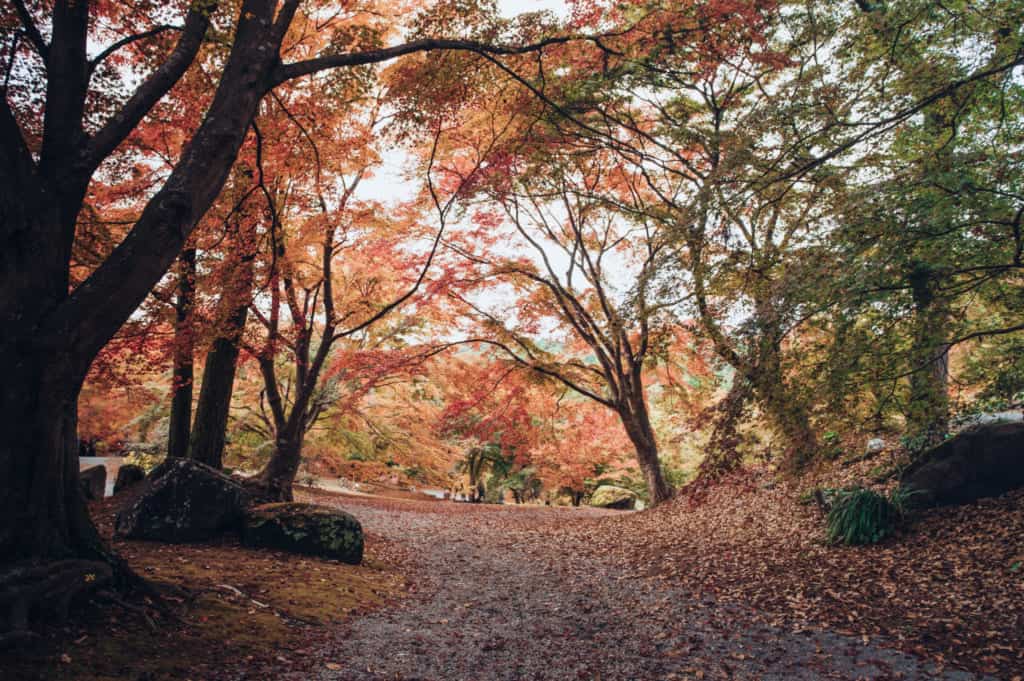 Fall colors in Nagasaki Prefecture.