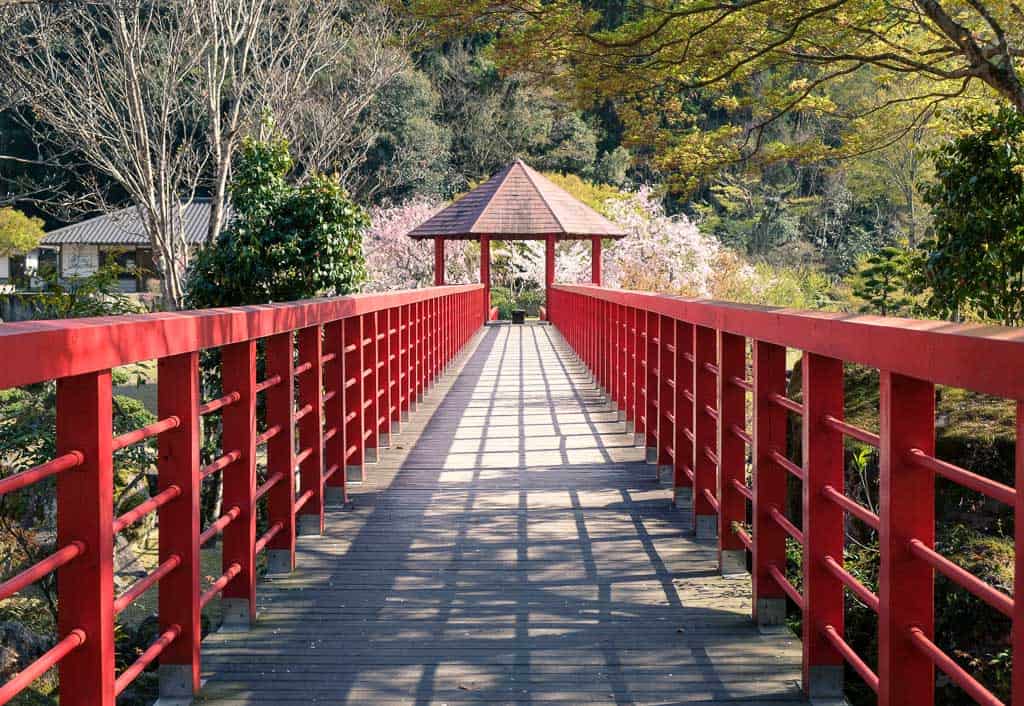 traditional Japanese red bridge leading into traditional japanese garden during sakura cherry blossom season in kyushu, japan