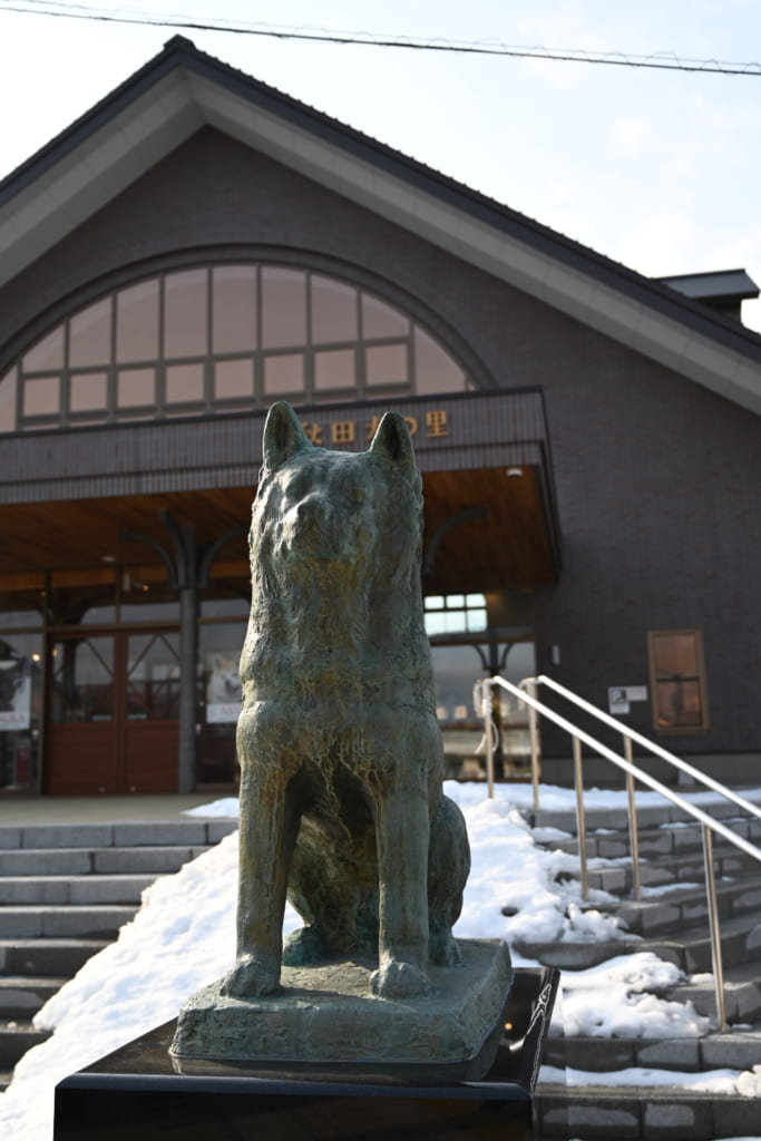 Outside the Akita Dog Centre