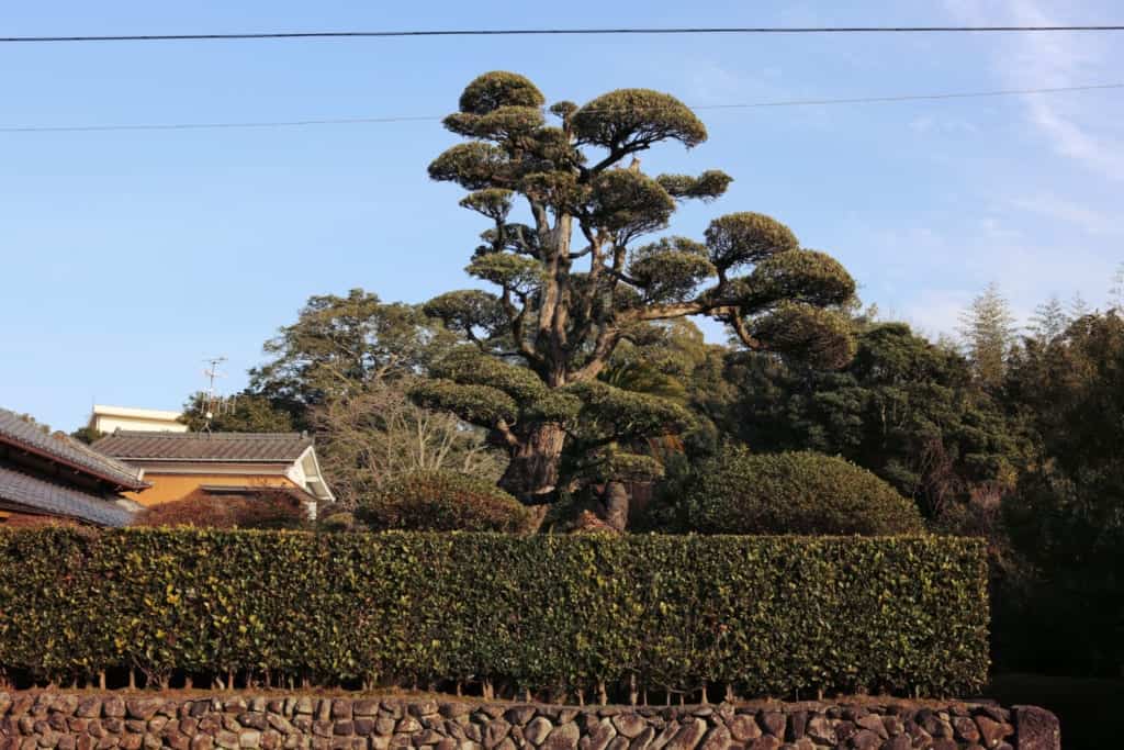 Izumi Inumaki in Izumi, Kagoshima, Japan