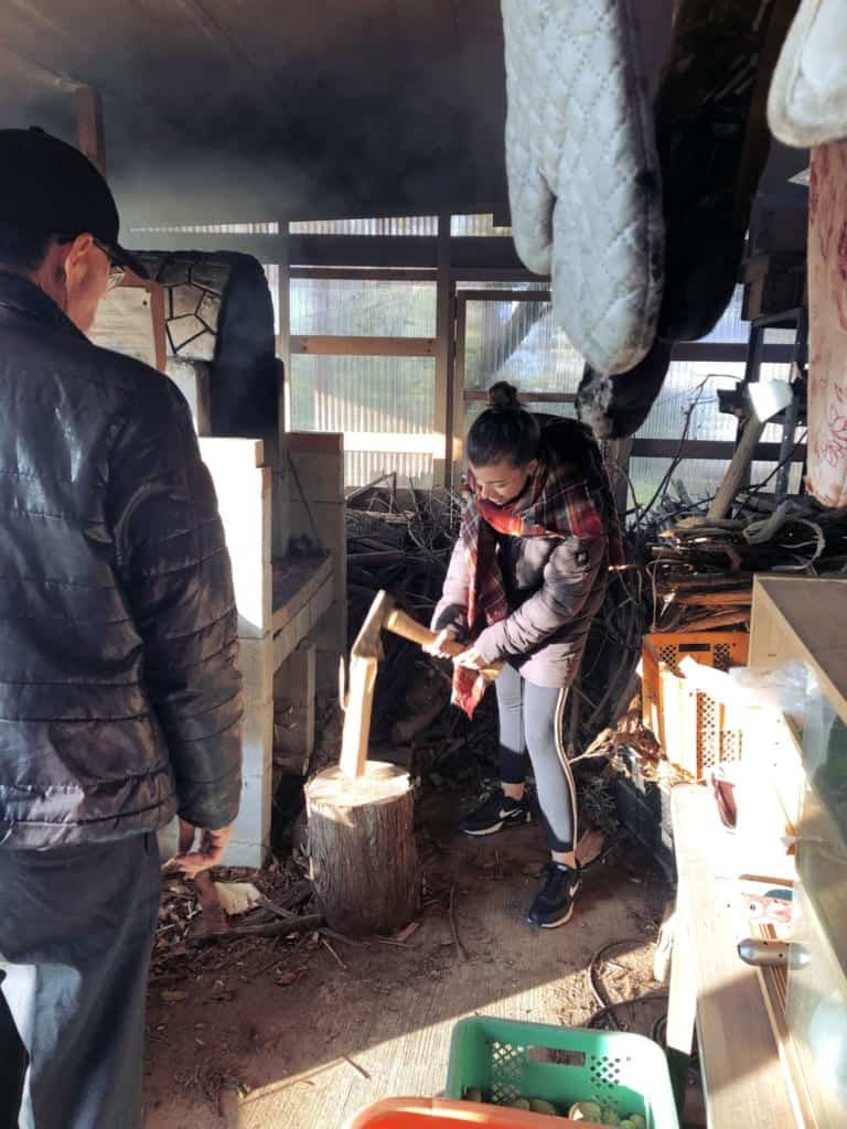 Cutting wood in  Izumi, Kagoshima, Japan