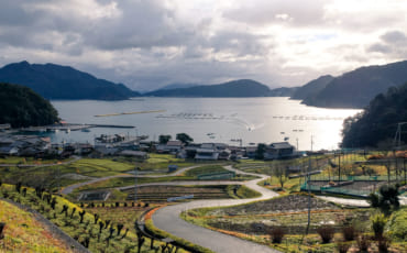 Hibiki terraced rice fields