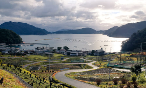 Hibiki terraced rice fields