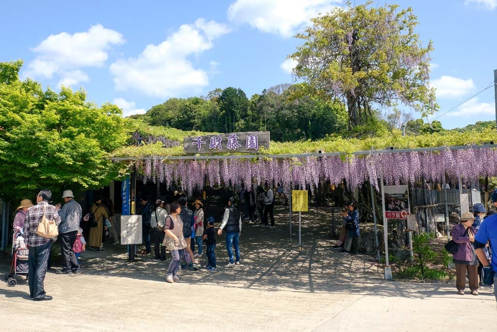 Entrance to Senzai Wisteria Park in Oita, Japan