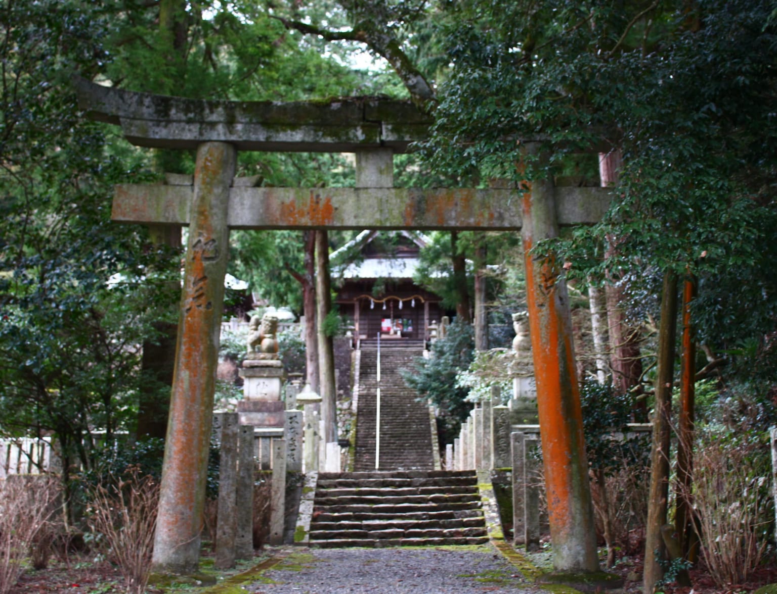 Toon City – A Jewel in Ehime Prefecture, Shikoku, Japan