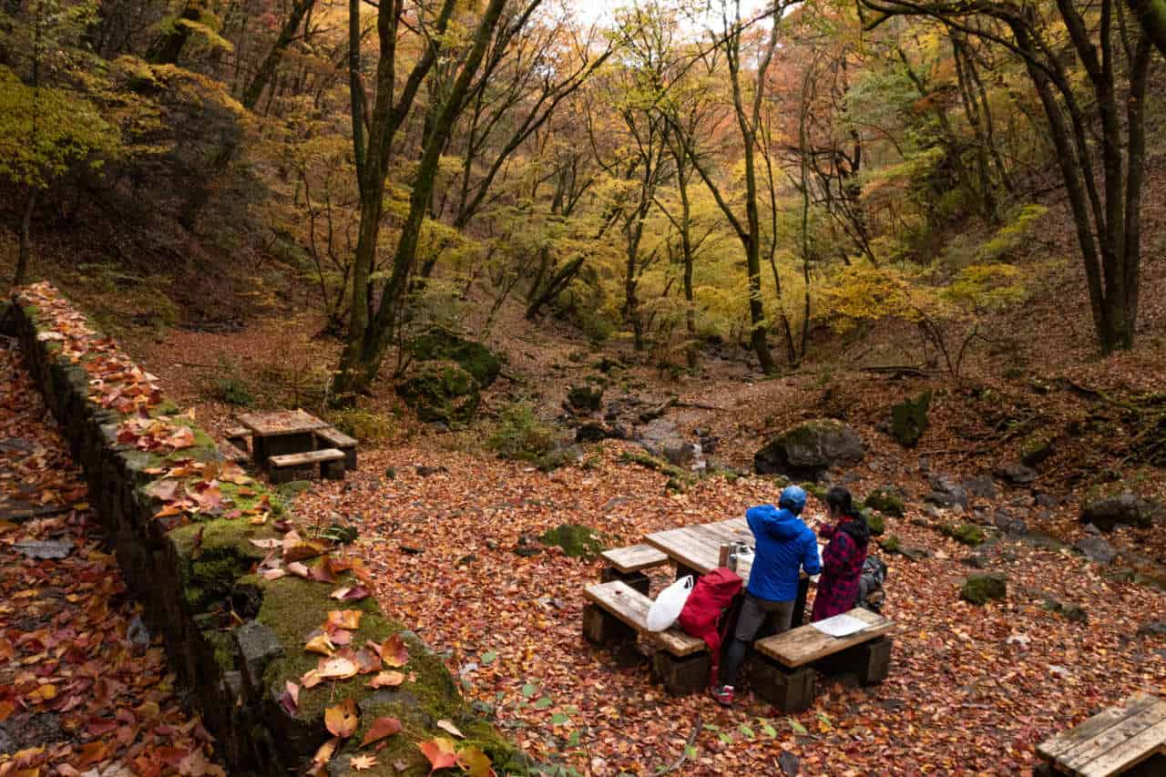 picnic site on mount mitake