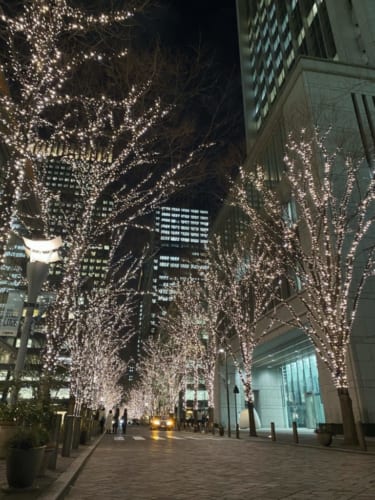 The Best Places to See the Spectacular Winter Illuminations in Tokyo