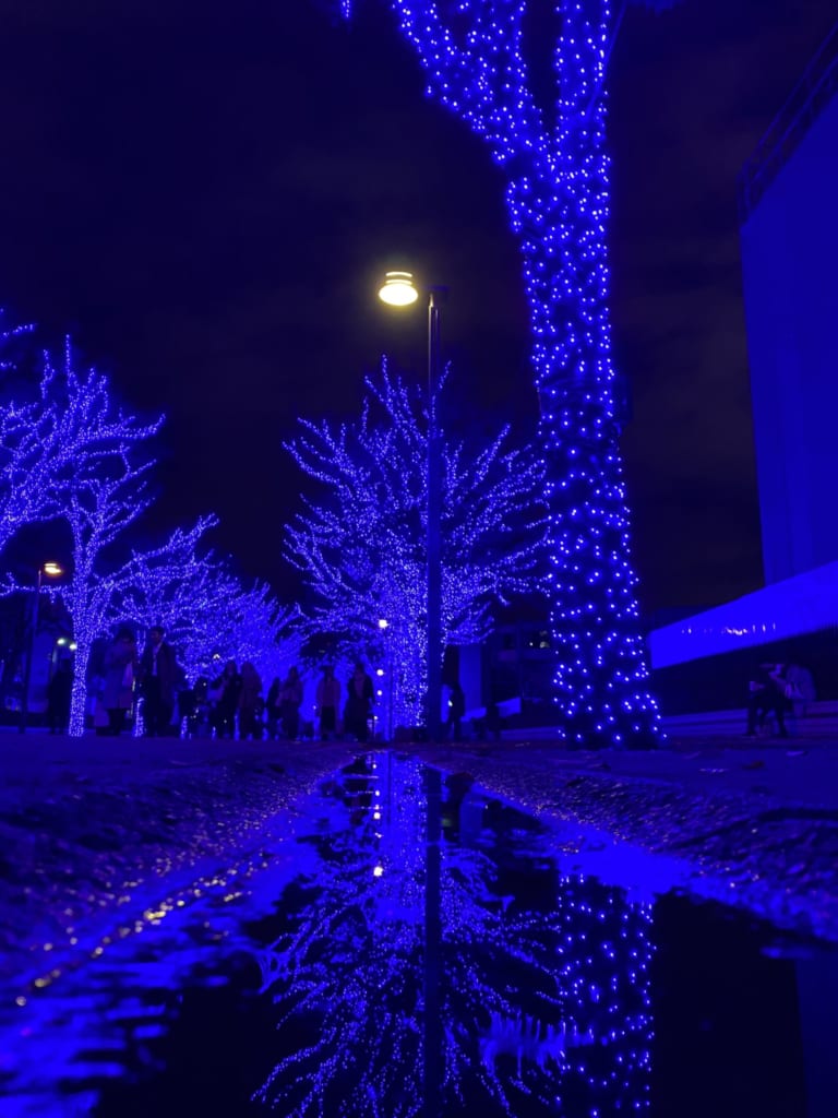 Vivid Blue Winter Illuminations in Shibuya, Tokyo