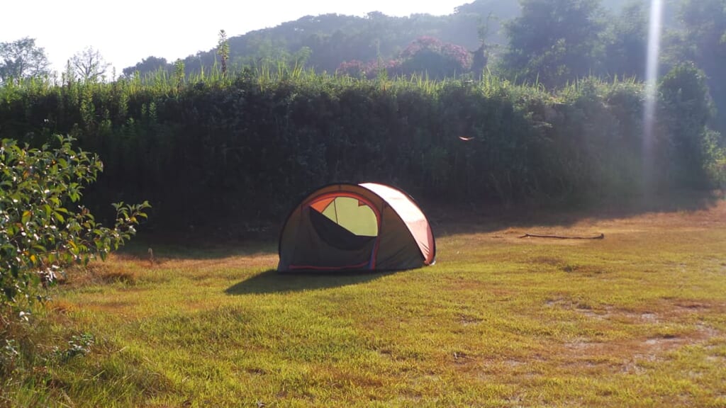 tent pitched next to a hedge