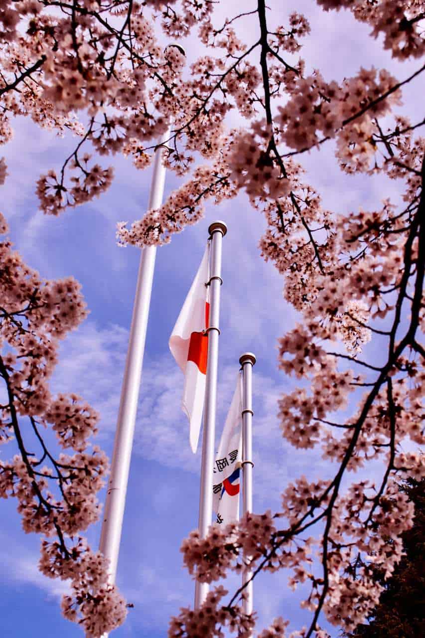 Learn The Fascinating History Behind the Japanese Flag