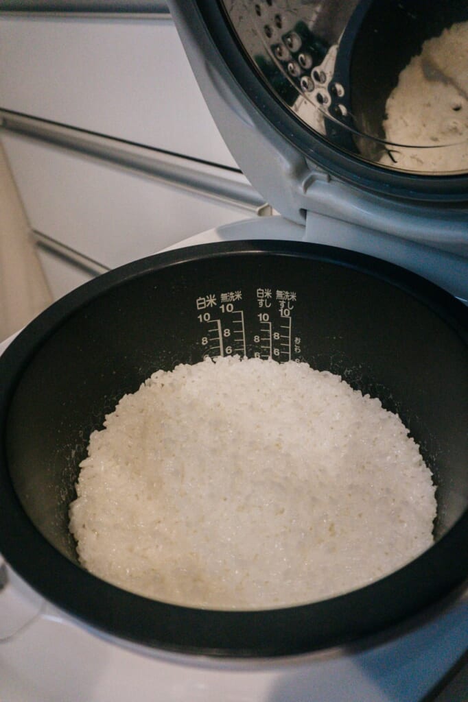Steamed rice prepared to be manipulated