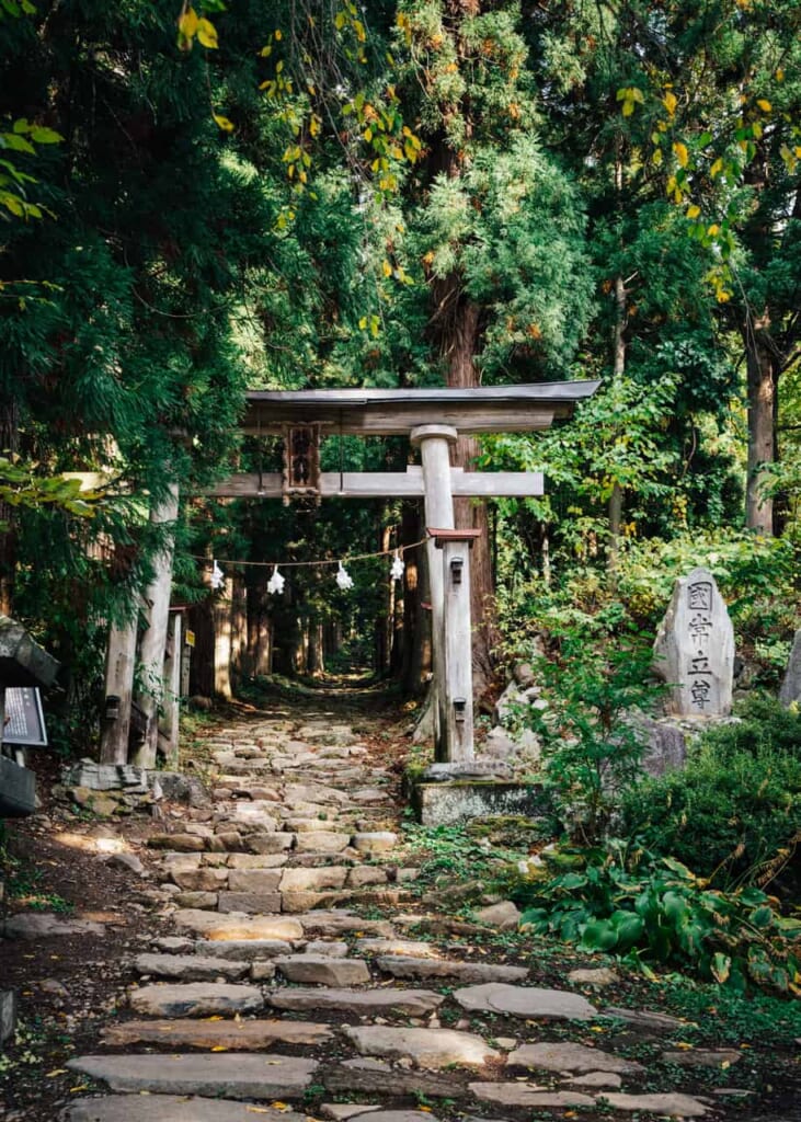 A torii showing the entrance of a shrine