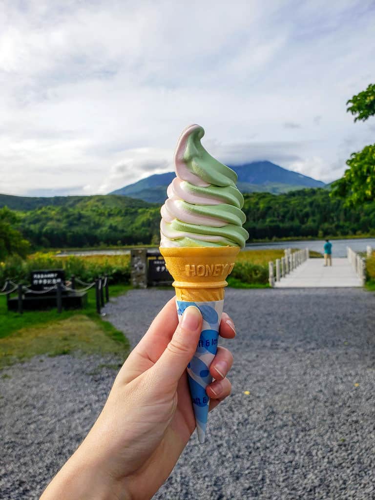 Rosehip and bamboo grass ice cream at Otatomari Swamp on Rishiri Island, Hokkaido