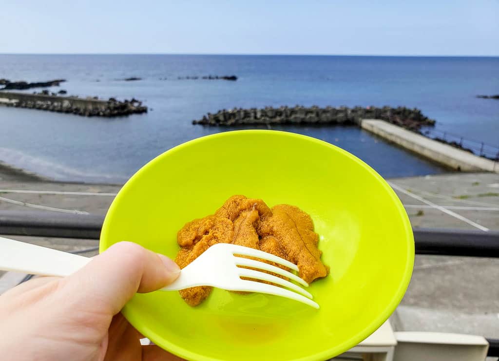 Eating fresh sea urchin at Rishiri Island, Hokkaido
