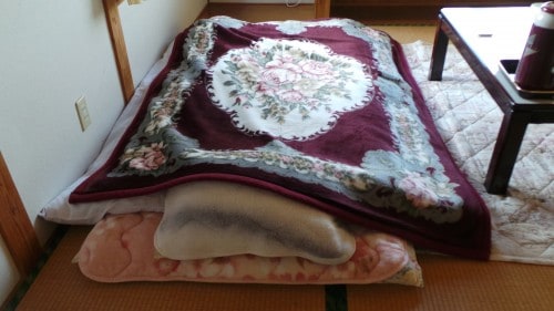 Futon with a blanket