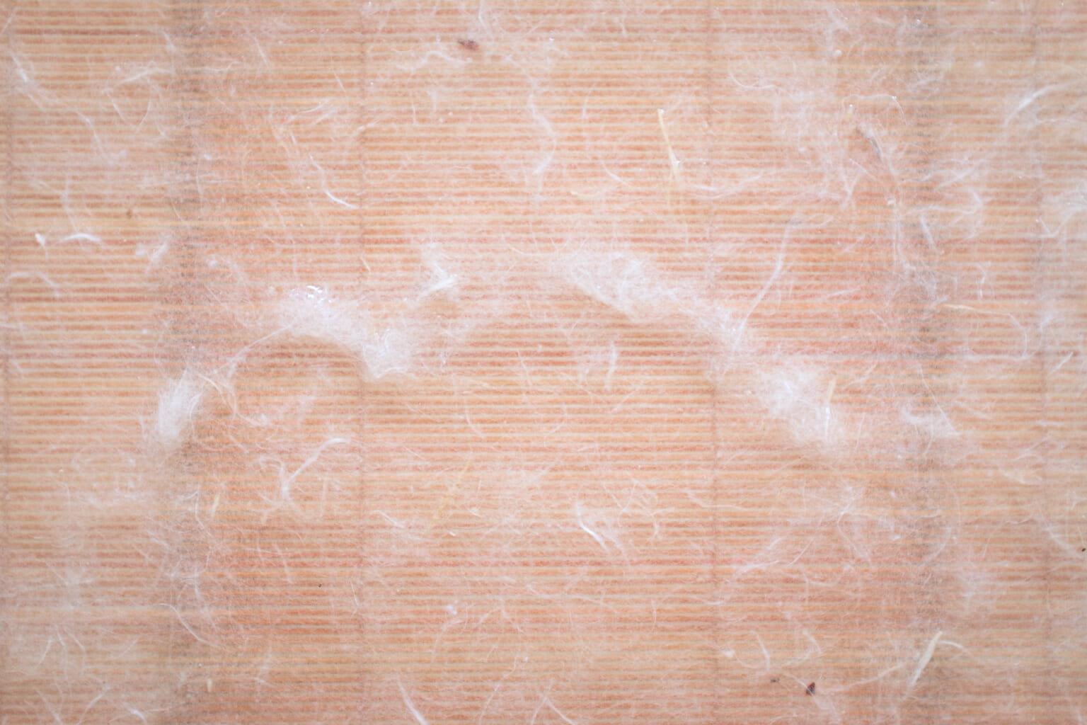 Ozu Washi Traditional Japanese Paper Store in Tokyo